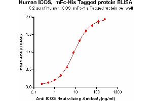 ELISA plate pre-coated by 2 μg/mL (100 μL/well) Human ICOS, mFc-His tagged protein (ABIN6961099, ABIN7042227 and ABIN7042228) can bind Anti-ICOS Neutralizing antibody )]in a linear range of 0.