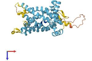 AlphaFold protein structure predicition of Human Recombinant SLC25A18 Protein, UniprotID Q9H1K4