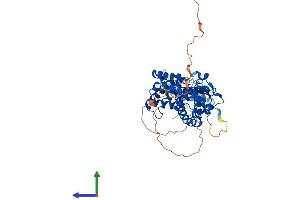 AlphaFold protein structure predicition of Mouse Recombinant Thrb Protein, UniprotID P37242