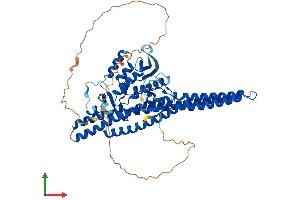 AlphaFold protein structure predicition of Mouse Recombinant Snx33 Protein, UniprotID Q4VAA7