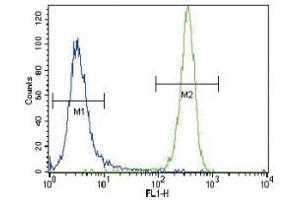 NRAS antibody flow cytometric analysis of NCI-H460 cells (green) compared to a negative control (blue).