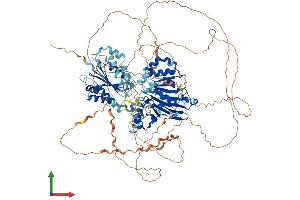 AlphaFold protein structure predicition of Human Recombinant MAP1S Protein, UniprotID Q66K74