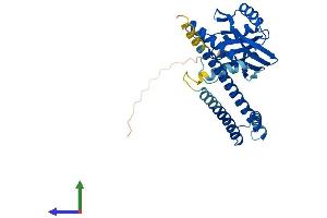 AlphaFold protein structure predicition of Mouse Recombinant Cops6 Protein, UniprotID O88545