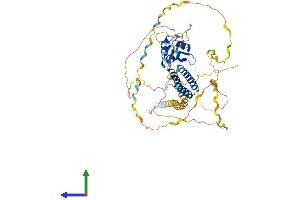 AlphaFold protein structure predicition of Human Recombinant CPSF6 Protein, UniprotID Q16630