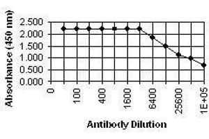 ELISA image for anti-Pp28 Tegument Protein (CMV Pp28) antibody (ABIN265539) (Pp28 Tegument Protein (CMV Pp28) anticorps)