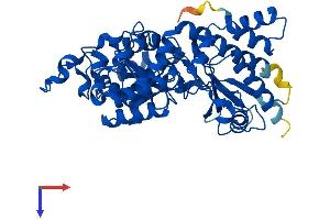 AlphaFold protein structure predicition of Human Recombinant KYNU Protein, UniprotID Q16719