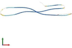 AlphaFold protein structure predicition of Mouse Recombinant Tsga10 Protein, UniprotID Q6NY15