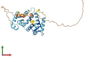 AlphaFold protein structure predicition of Mouse Recombinant Kcnip3 Protein, UniprotID Q9QXT8
