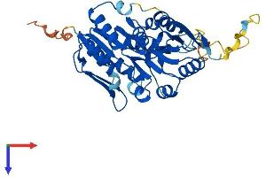 AlphaFold protein structure predicition of Mouse Recombinant Prpsap2 Protein, UniprotID Q8R574