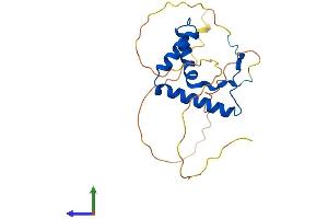 AlphaFold protein structure predicition of Human Recombinant SRY Protein, UniprotID Q05066