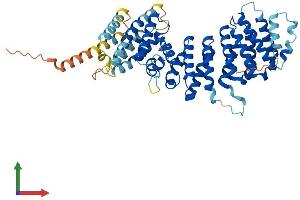 AlphaFold protein structure predicition of Human Recombinant TTI2 Protein, UniprotID Q6NXR4