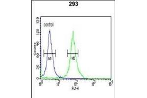 PKM2 (N-term ) Antibody (ABIN653018 and ABIN2842641) flow cytometric analysis of 293 cells (right histogram) compared to a negative control cell (left histogram). (PKM2 anticorps  (N-Term))