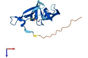AlphaFold protein structure predicition of Mouse Recombinant Fam72a Protein, UniprotID Q8BFZ8