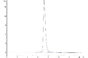 The purity of Mouse VLDLR is greater than 95 % as determined by SEC-HPLC.
