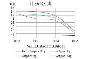 Black line: Control Antigen (100 ng),Purple line: Antigen (10 ng), Blue line: Antigen (50 ng), Red line:Antigen (100 ng)