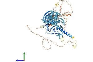 AlphaFold protein structure predicition of Human Recombinant WDR43 Protein, UniprotID Q15061