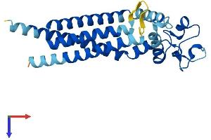 AlphaFold protein structure predicition of Human Recombinant TSPAN9 Protein, UniprotID O75954