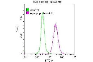 Overlay histogram showing A549 cells stained with ABIN7127342 (red line) at 1:50.