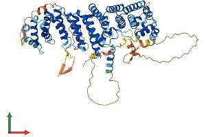 AlphaFold protein structure predicition of Human Recombinant RRN3 Protein, UniprotID Q9NYV6