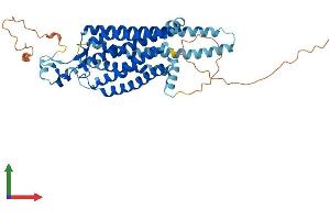AlphaFold protein structure predicition of Mouse Recombinant Nmur1 Protein, UniprotID O55040