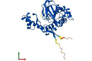 AlphaFold protein structure predicition of Human Recombinant OGFOD2 Protein, UniprotID Q6N063