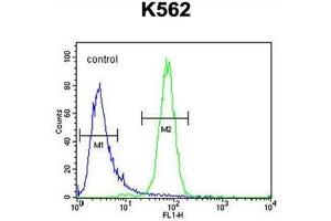 C6orf58 Antibody (Center) flow cytometric analysis of K562 cells (right histogram) compared to a negative control cell (left histogram). (C6ORF58 anticorps  (Middle Region))