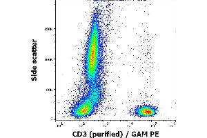 Flow cytometry surface staining pattern of human peripheral blood stained using anti-human CD3 (MEM-92) purified antibody (concentration in sample 5 μg/mL, GAM PE). (CD3 anticorps)