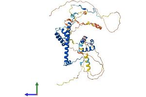 AlphaFold protein structure predicition of Mouse Recombinant Rcor3 Protein, UniprotID Q6PGA0