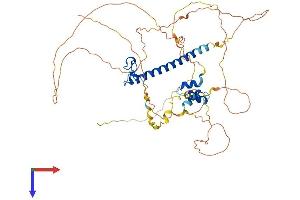 AlphaFold protein structure predicition of Human Recombinant DMRTA1 Protein, UniprotID Q5VZB9