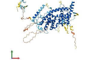 AlphaFold protein structure predicition of Human Recombinant TAF1B Protein, UniprotID Q53T94