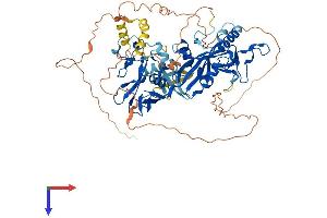 AlphaFold protein structure predicition of Human Recombinant TIPARP Protein, UniprotID Q7Z3E1