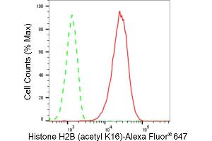 Flow cytometric analysis of Histone H2B (acetyl K16) expression in HepG2 cells using Histone H2B (acetyl K16) antibody (ABIN7798943), 1:2,000).
