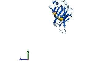 AlphaFold protein structure predicition of Human Recombinant TIFAB Protein, UniprotID Q6ZNK6
