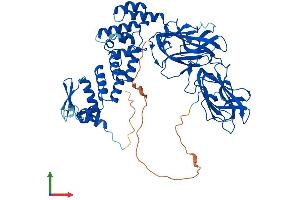 AlphaFold protein structure predicition of Mouse Recombinant Btbd9 Protein, UniprotID Q8C726