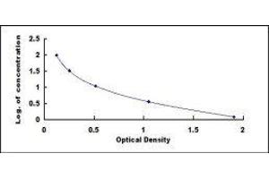 ELISA image for 7-Dehydrocholesterol ELISA Kit (ABIN418761) (7-Dehydrocholesterol Kit ELISA)