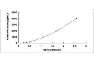 ELISA image for Fibroblast Growth Factor 9 (FGF-9) ELISA Kit (ABIN1118000)
