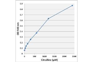 Citrulline standard curve (Homocitrulline/Citrulline Assay Kit)