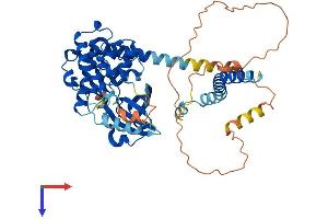 AlphaFold protein structure predicition of Human Recombinant STK4 Protein, UniprotID Q13043