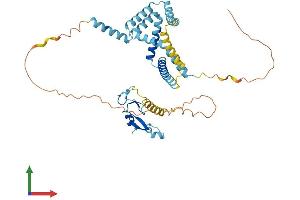 AlphaFold protein structure predicition of Human Recombinant ZFYVE27 Protein, UniprotID Q5T4F4