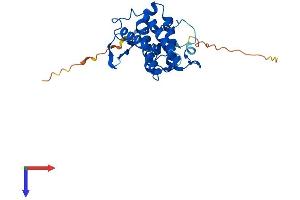 AlphaFold protein structure predicition of Mouse Recombinant Mob2 Protein, UniprotID Q8VI63