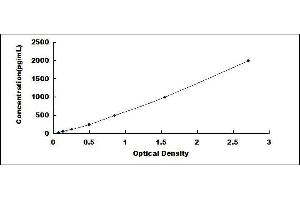 ELISA image for Secretagogin, EF-Hand Calcium Binding Protein (SCGN) ELISA Kit (ABIN422472)