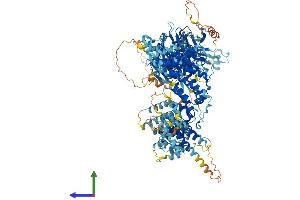 AlphaFold protein structure predicition of Mouse Recombinant Rab3gap2 Protein, UniprotID Q8BMG7