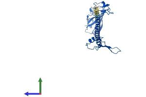 AlphaFold protein structure predicition of Mouse Recombinant Rps6 Protein, UniprotID P62754