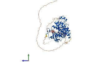 AlphaFold protein structure predicition of Mouse Recombinant Clk2 Protein, UniprotID O35491