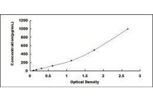 ELISA image for Tumor Necrosis Factor (Ligand) Superfamily, Member 4 (TNFSF4) ELISA Kit (ABIN417533)