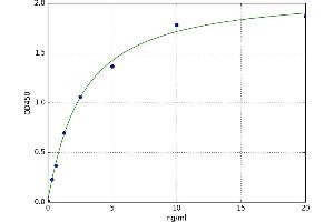A typical standard curve (MAT1A Kit ELISA)