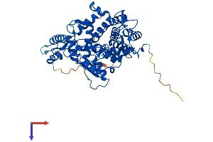 AlphaFold protein structure predicition of Human Recombinant FNTB Protein, UniprotID P49356