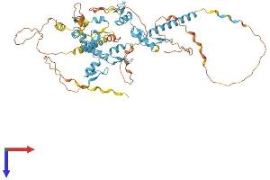 AlphaFold protein structure predicition of Human Recombinant ZNF579 Protein, UniprotID Q8NAF0