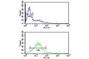 Phospholamban antibody flow cytometric analysis of Jurkat cells (green) compared to a negative control (blue).