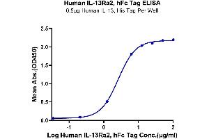Immobilized Human IL-13, His Tag at 5 μg/mL (100 μL/well) on the plate.